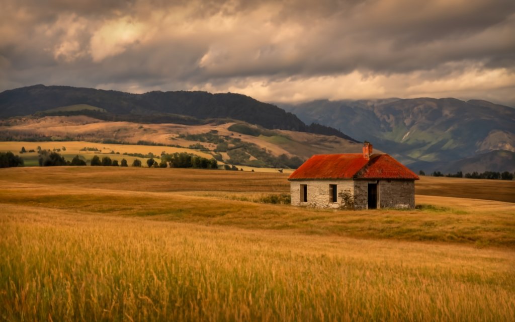 działki i grunty, samotny dom